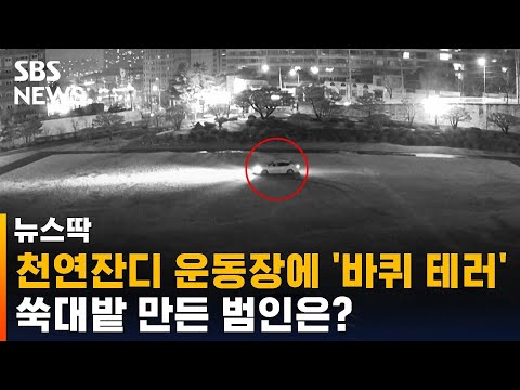 천연잔디 운동장 차 몰고 들어가 &amp;#39;쑥대밭&amp;#39;…범인 잡혔다 / SBS / 뉴스딱