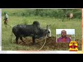 New video by Thanthi TV on YouTube