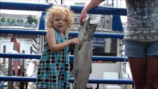 How Do You Sheboygan? Lake Michigan Sport Fishing
