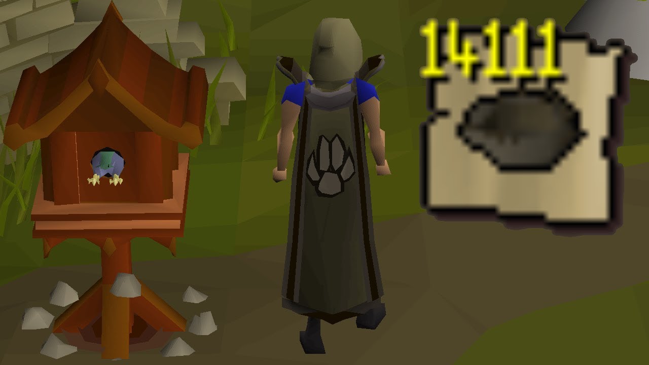 [OSRS] HCIM 177 The Birdhouse Runs Paid Off (2113/2277) YouTube