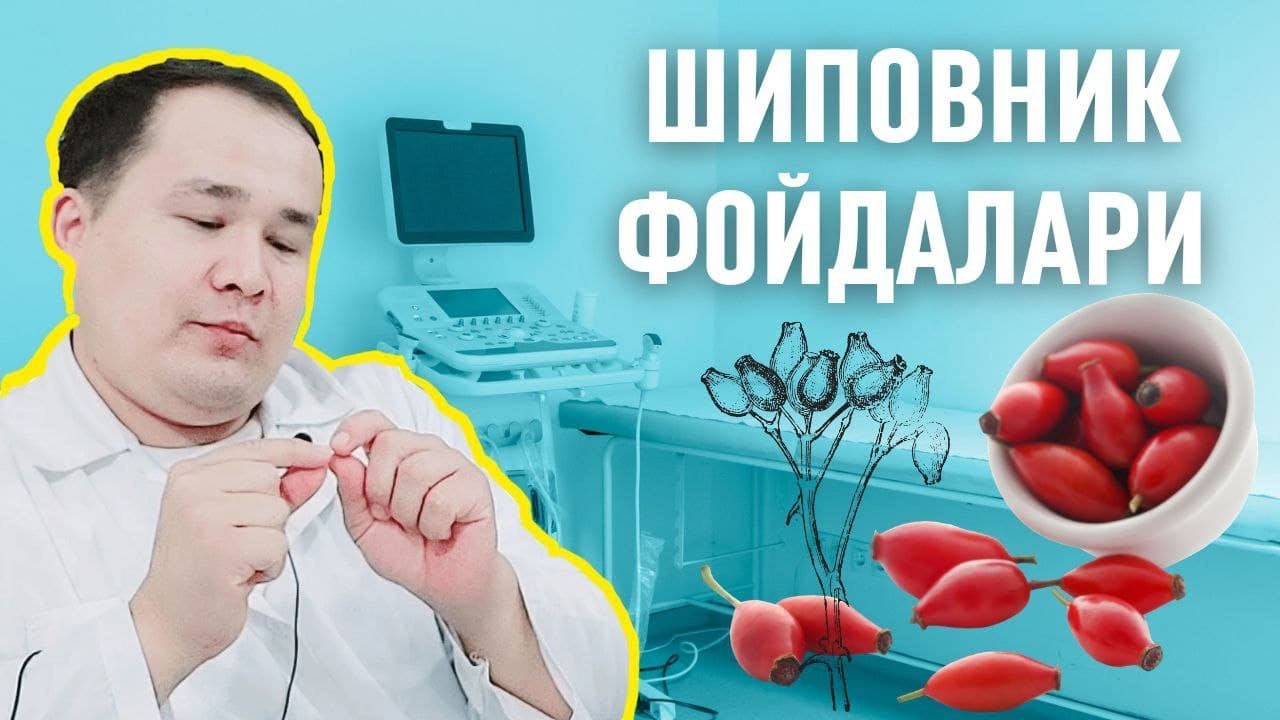 ШИПОВНИК-НАЪМАТАКНИ ШИФО ФОЙДАЛАРИ ВА 3- УСУЛДА ИЧИШ ҚОИДАСИ