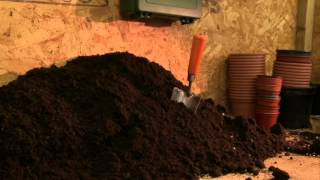 Famous It's Time To Flourish - Pt 2 - Terry Eckersley UCB Series Wealth