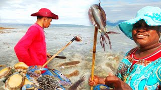 Download Lagu Cuttlefish, Clams, Snails, and Octopus Trapped During Low Tide MP3 Download Lagu Cuttlefish, Clams, Snails, and Octopus Trapped During Low Tide MP3