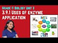 Grade 11 Biology Unit 3: 3.9.1 Uses of enzyme application | Saquama