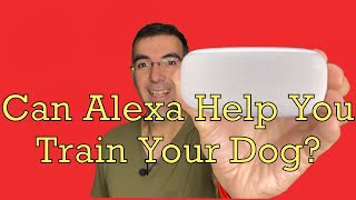 Can Alexa Help You Train Your Dog? Introducing Al the Dog Trainer, An Amazon Alexa Skill.