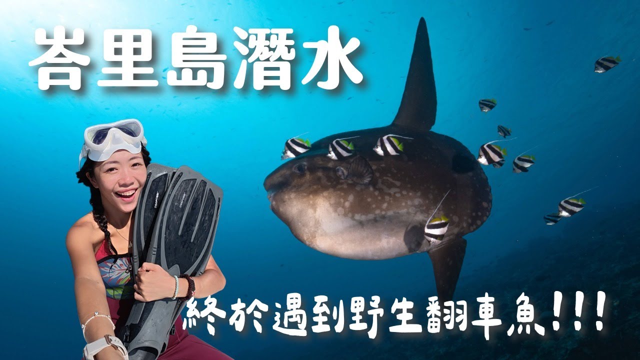 【峇里島潛水】亞洲極少數可以撞見 Mola Mola 的潛點！鬼蝠魟真的看到飽？新手友善嗎？ 佩尼達島五日潛水全記錄 ！ft. 