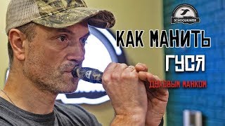 Как манить белолобого гуся духовым манком.