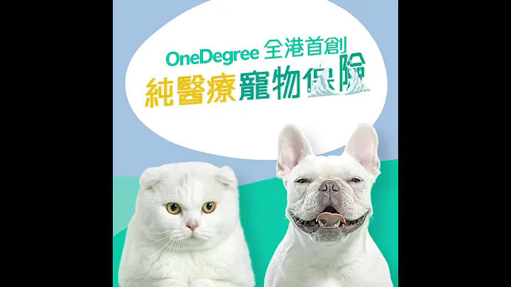 OneDegree 宠物保险 毛价保 所有猫狗品种均可投保 - 天天要闻
