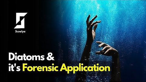 Diatoms & its applications - Forensic Science || Scoolya
