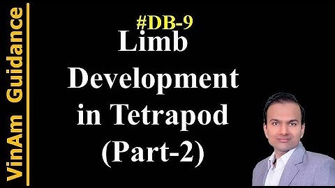 #DB9 I Limb Development in Tetrapod (Part B) I Developmental Biology I #VG