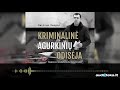 KRIMINALINĖ AGURKINIŲ ODISĖJA. Dailiaus Dargio audioknyga | Audioteka.lt