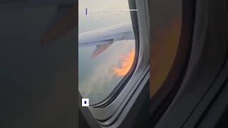 American Airlines flight hits birds while taking off