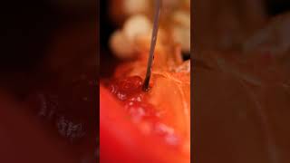 Red Pepper Cut Close-Up