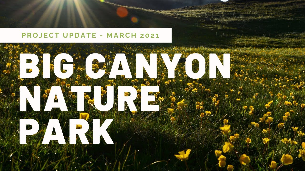 Big Canyon Nature Park - Improvement Project Update: March 2021