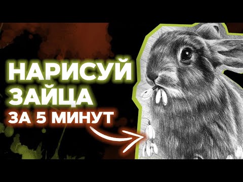 Как нарисовать зайца карандашом? / Рисуем зайчика поэтапно!