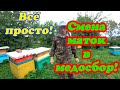 САМЫЙ ПРОСТОЙ СПОСОБ СМЕНЫ МАТОК В УЛЬЕ, УВЕЛИЧИВ ПРИНОС МЁДА.