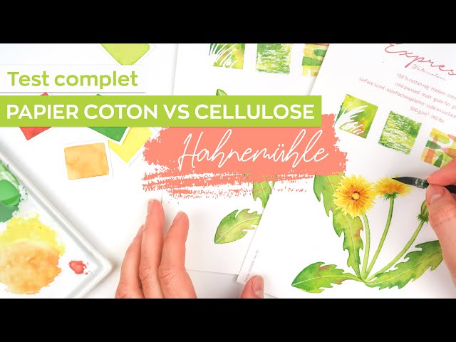 TEST COMPLET Papier aquarelle 100% coton Expression VS cellulose Le Rouge | Hahnemühle