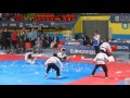 WTF Demo Team at Taekwondo Euro 2016 Montreux
