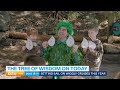 The Tree of Wisdom joins Today and shows us how to boogie! | Today Show Australia