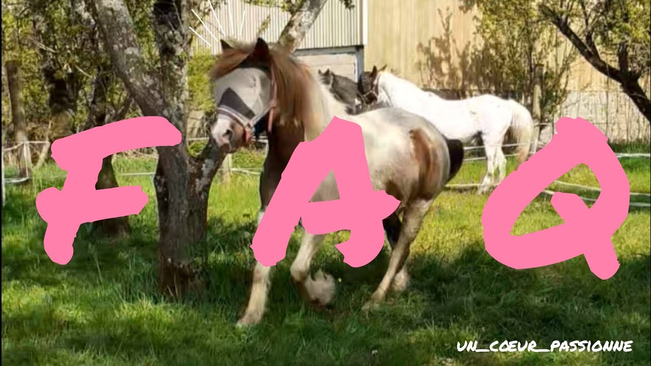 FAQ spécial Reine /un_cœur_passionne