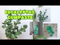 EUCALYPTUS  V1 GUMPASTE (Frosted Eucalyptus) Vlog 9 by marckevinstyle