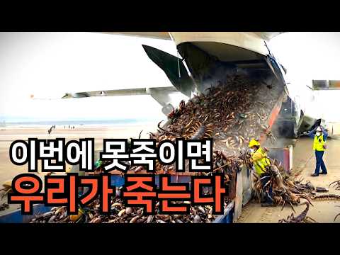 현재 한국인이 목숨걸고 멸종시키려는 존재