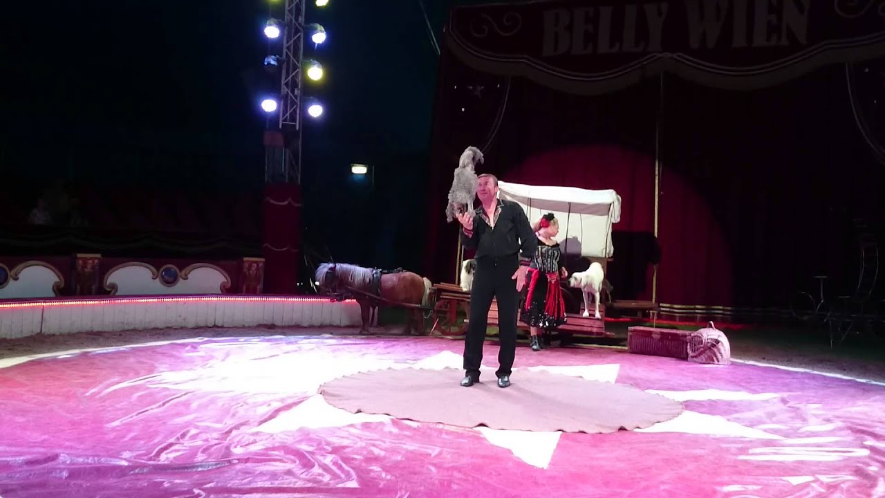 Bellywien Circus Eindhoven