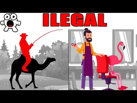 Video: Leyes estúpidas de EE. UU.: las leyes más estúpidas y divertidas, su historia