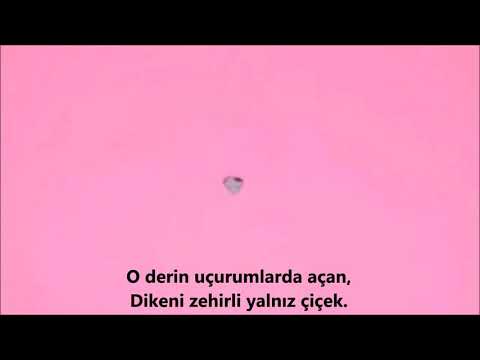 Aleyna Tilki - Yalnız Çiçek feat. Emrah Karaduman Klip (Yıldız Tilbe'nin Yıldızlı Şarkıları)