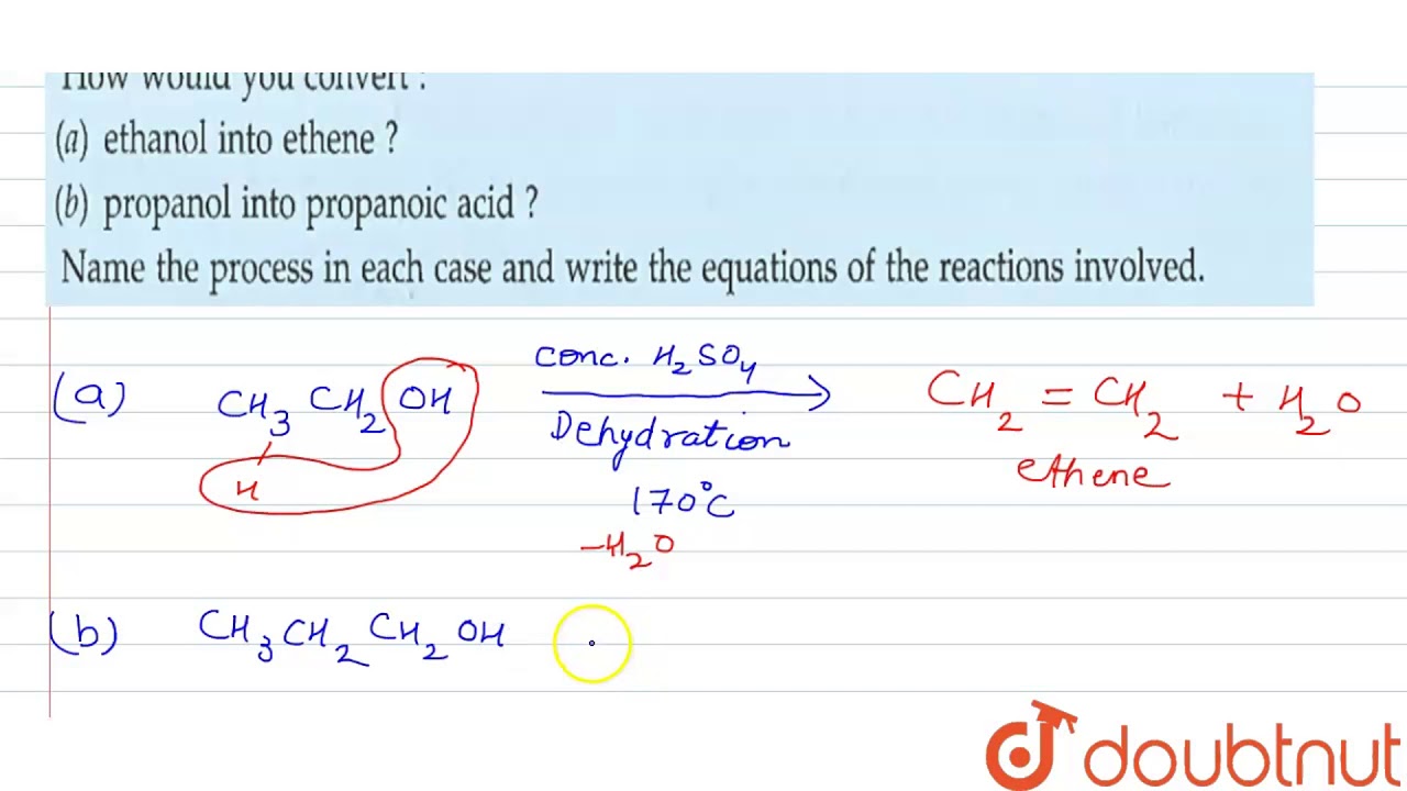 How Would You Convert A Ethanol Into Ethene B Propanol Into Propanoic Acid Ltbvrgt Name  How Would You Convert A Ethanol Into Ethene B Propanol Into Propanoic Acid Ltbvrgt Name