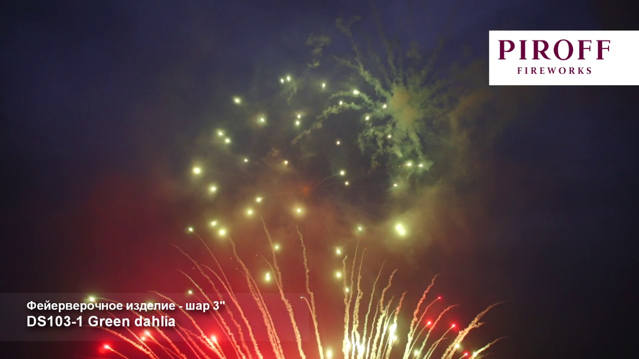 DS103 1 Green dahlia