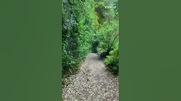 ما تيسر من سورة الروم 💗🎧رعد الكردي