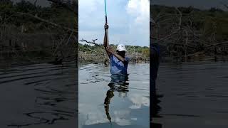 #shorts rohu fishing techniques