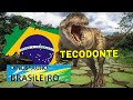 dinossauro brasileiro a historia do TECODONTE