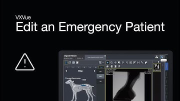 Edit an Emergency Patient in VXVue