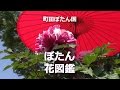 町田ぼたん園　「ぼたん花図鑑」