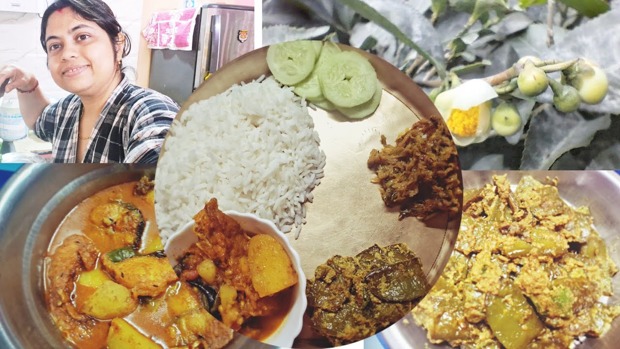 গরম ভাতের সাথে দারুন সুস্বাদু পাংগাস মাছের ঝোল, আর শীতকালীন সিম দিয়ে রান্না হল সিমপোস্ত । 