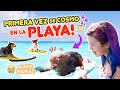 ENCONTRAMOS UN HERMANO PARA MI MASCOTA!🐶🐾  | Leyla Star 💫