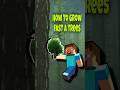 How to grow fast a trees ! #shorts #minecraft