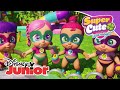 Super Cute Little Babies: Enredos en el Polo Norte | Disney Junior Oficial