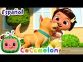 Pequeño amigo | Canciones Infantiles | Caricaturas para bebes | CoComelon en Español