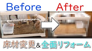 【床材】コーンスネークのケージを全面リフォーム&床材交換してみた！【飼育方法】