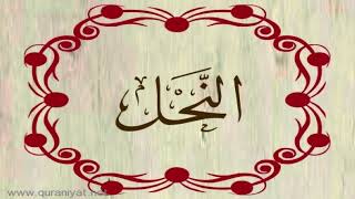 الشيخ سعيد الخطيب - سورة النحل