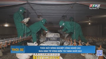 Thúc đẩy nông nghiệp công nghệ cao, đưa kinh tế vùng biên Tây Ninh khởi sắc | TayNinhTV