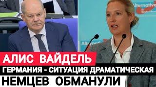 Алис Вайдель Германия - ситуация драматическая. Немцев обманули