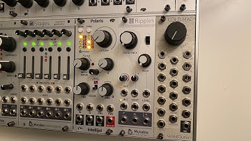 Intellijel Polaris vs Mutable Ripples 2020 Lowpass Filter Comparison