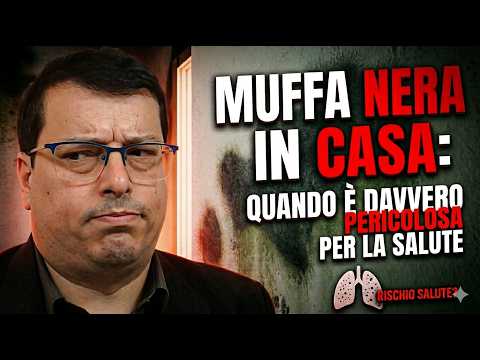 Muffa nera in casa: quando è davvero pericolosa per la salute (anziani, asmatici). Cosa fare subito