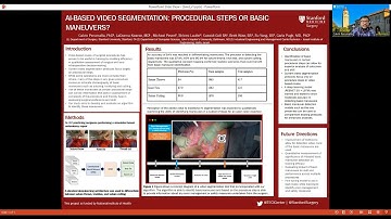 AI-Based Video Segmentation: Procedural Steps or Basic Maneuvers?
