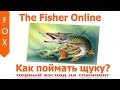 The Fisher online, как поймать щуку? Первый взгляд на спиннинг.