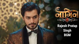 Naagin 6 | Rajesh Pratap Singh BGM | RS BGMS